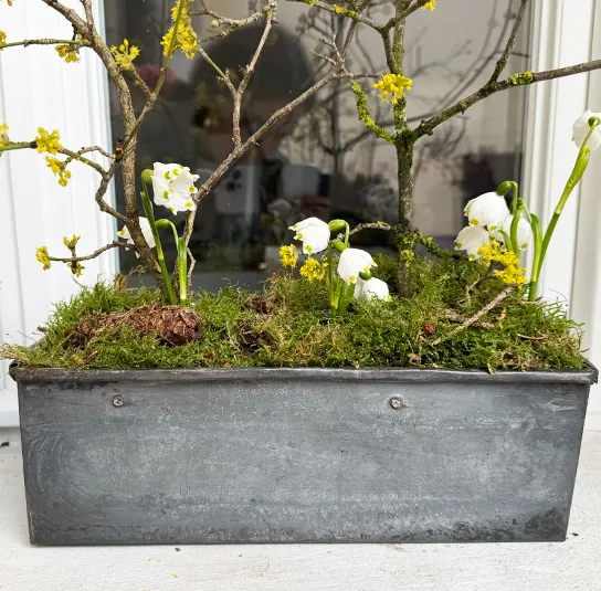 Zinktopf, Blumenkasten länglich – 2 Größen – Bild 3