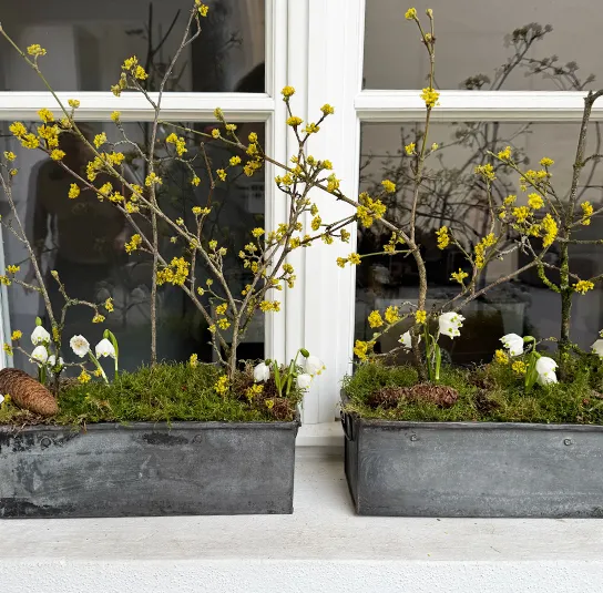 Zinktopf, Blumenkasten länglich – 2 Größen – Bild 4