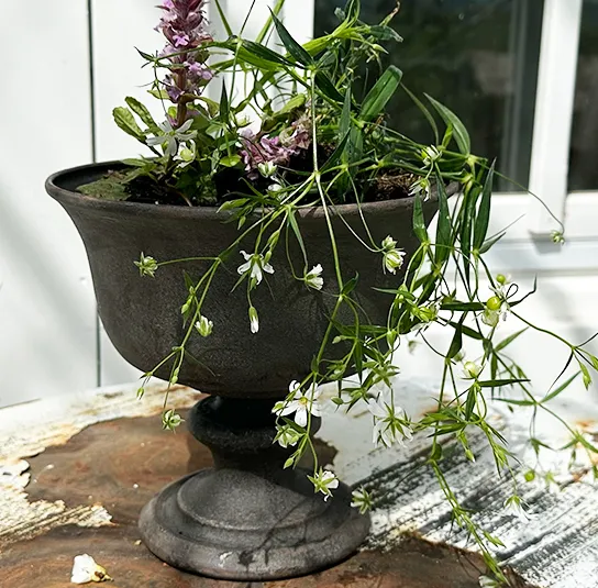 Topf, Vase Rustic Metall – Bild 3