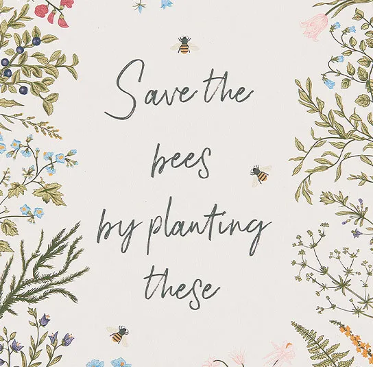 Schild Save the bees