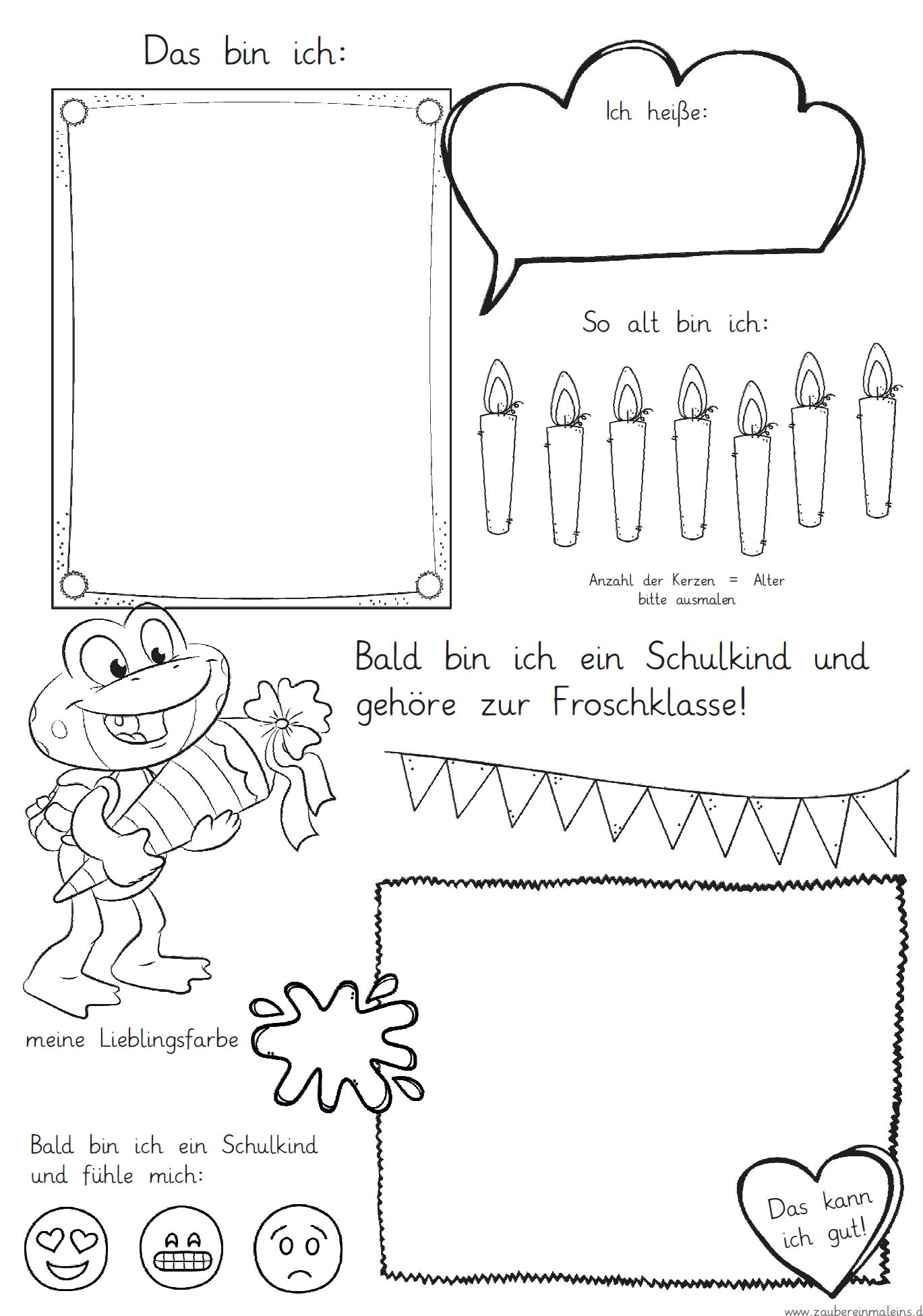 Mini-Steckbrief/erstes Bild – Frosch